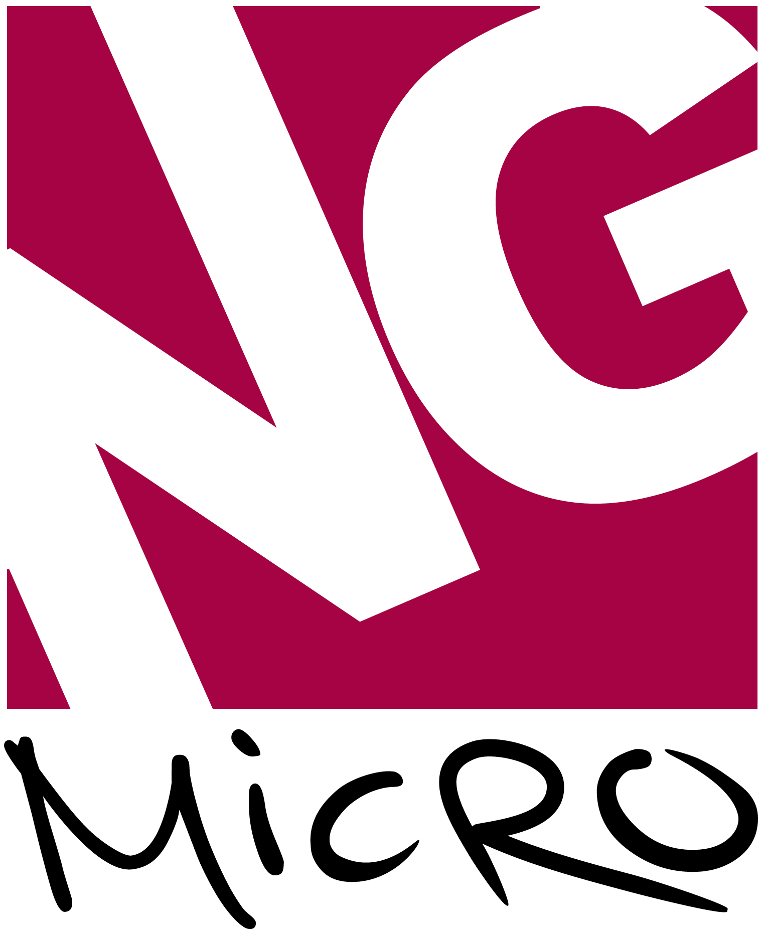 logo NG Micro Services